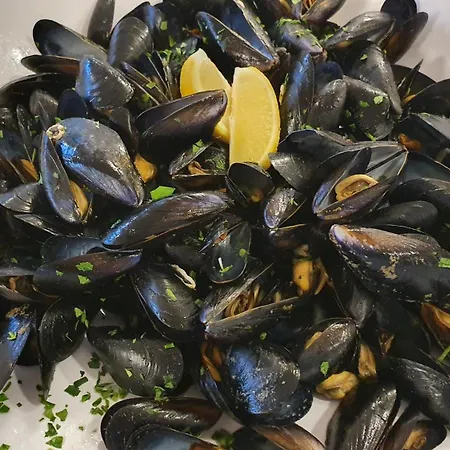 Cormoran Hotel Cattolica