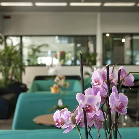 Cormoran Hotel Cattolica