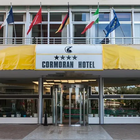 Cormoran Cattolica