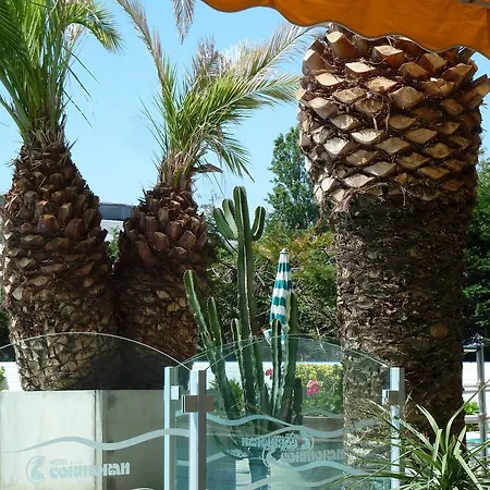 Cormoran Hotel Cattolica