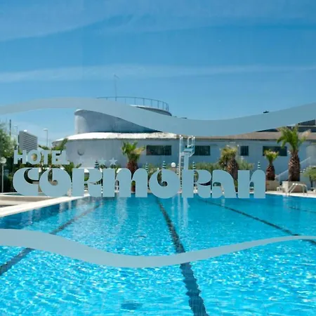 Cormoran Cattolica