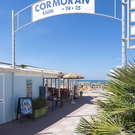 Cormoran Cattolica