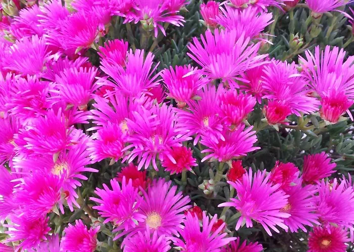 فندق Cormoran 4*