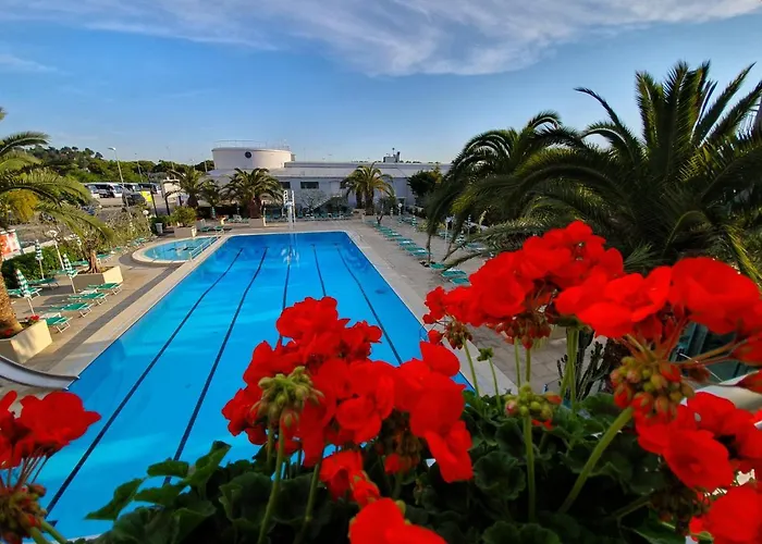 Cormoran 4* كاتوليكا