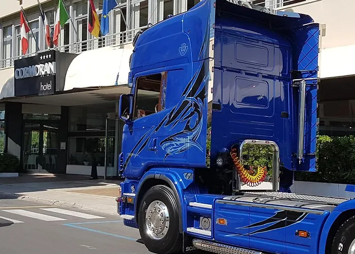 Cormoran كاتوليكا