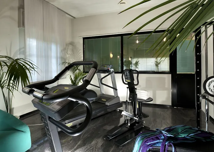 Cormoran كاتوليكا